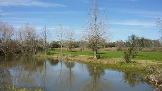 Matagorda County Birding