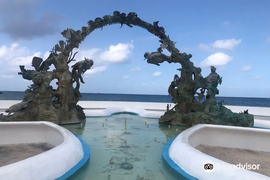 Coral Reefs Monument