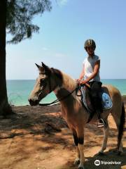 Phuket Riding Club