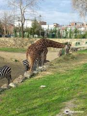 부르사 동물원