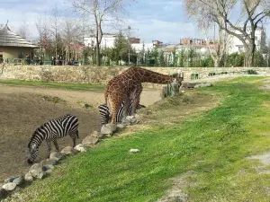 Bursa Zoo