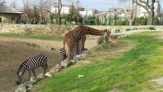 Bursa Zoo