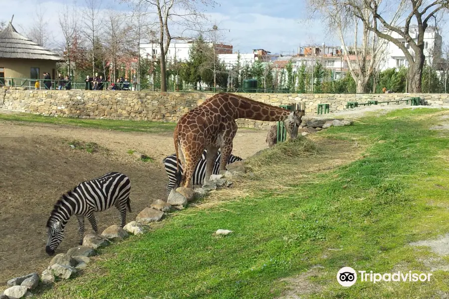 Bursa Zoo