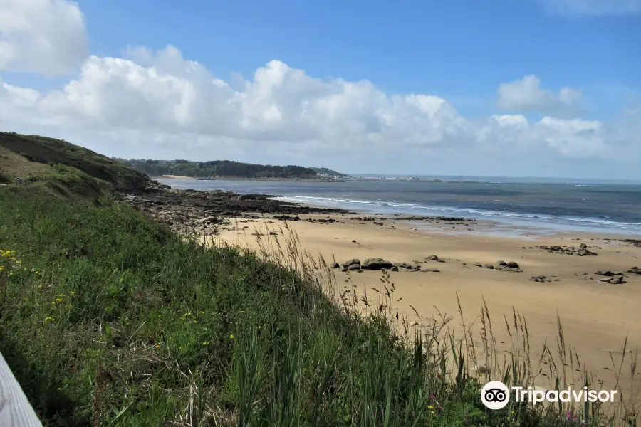 Plage de Goaslagorn