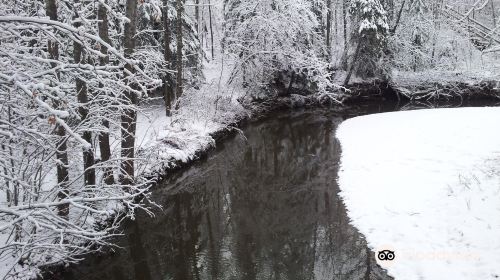 Mill Creek Ravine