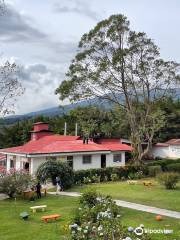 Doka Estate Coffee Tour - San José, Costa Rica