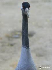 Karachi Zoo