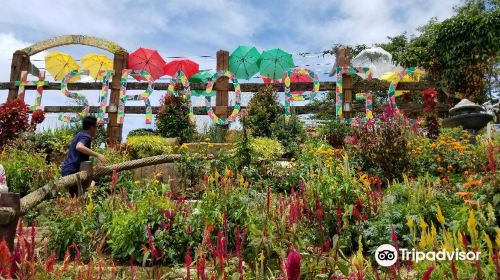 Sirao Flower Garden