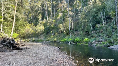 Fern Glade Platypus Reserve