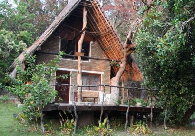 Kapishya Hot Springs