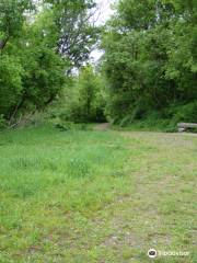 Quarry Run Dog Park