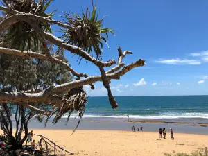 Deepwater National Park