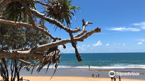 Deepwater National Park