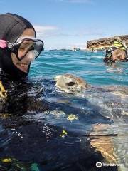 Tenerife Diving Centre