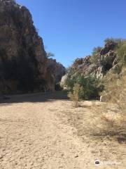 Honey Bee Canyon Trail