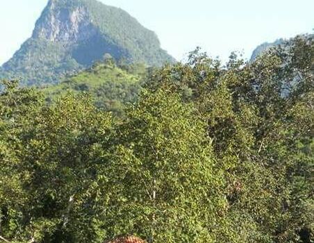 Centro Ecoturístico Huilotepetl