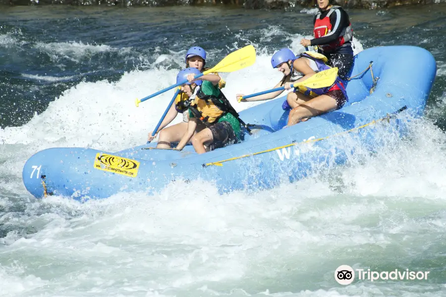 Action Whitewater Adventures