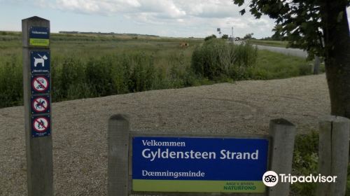 Gyldensteen