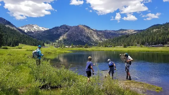 Matt Heron Fly Fishing