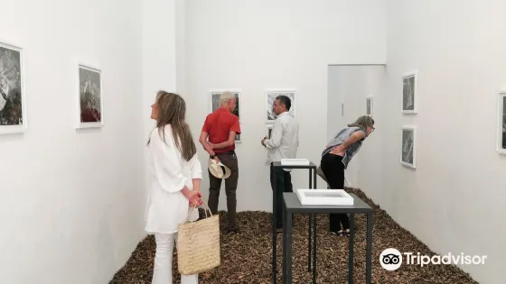 El Otro Mono
