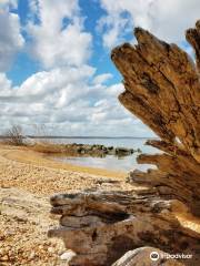 Hog Island Wildlife Management Area