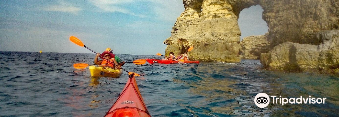 travel