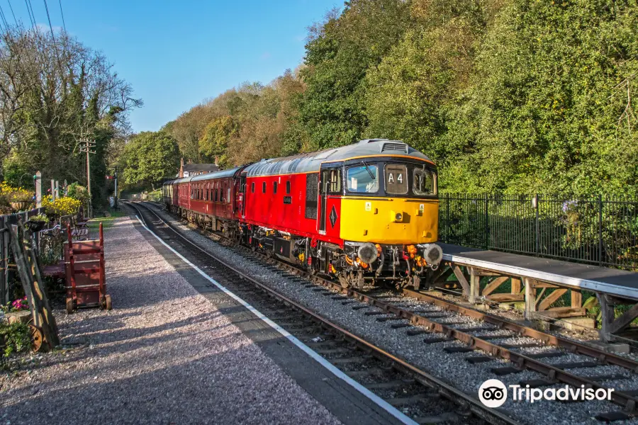 Churnet Valley Railway - (Kingsley and Froghall,Station)