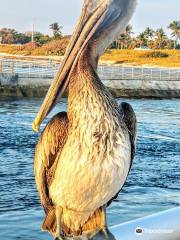 Ocean Inlet Park