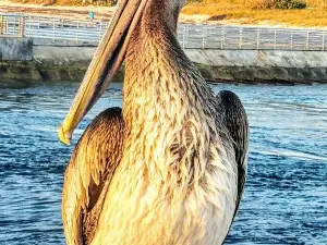 Ocean Inlet Park