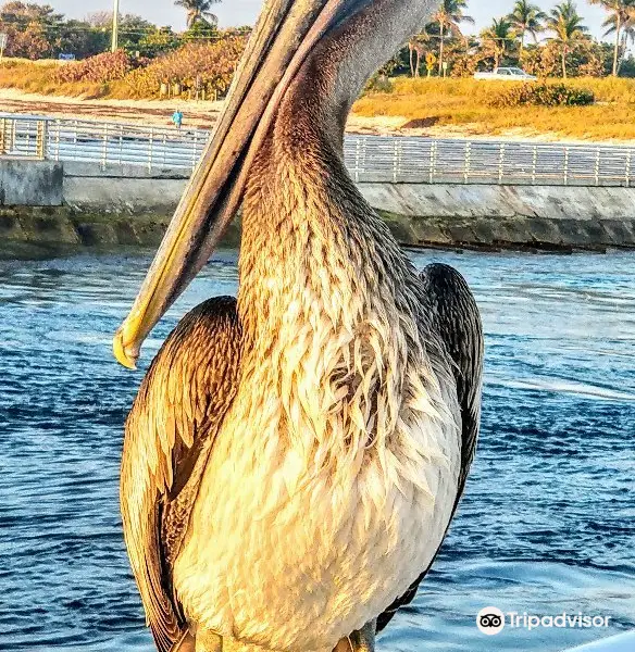 Ocean Inlet Park