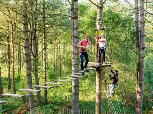 Go Ape Thetford