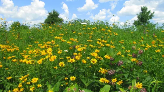 Governor Nelson State Park