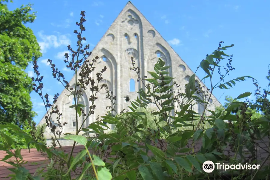 Convent of St. Bridget (Pirita Klooster)