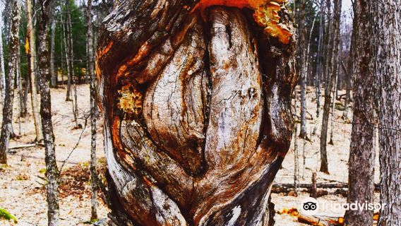 Silent Lake Provincial Park