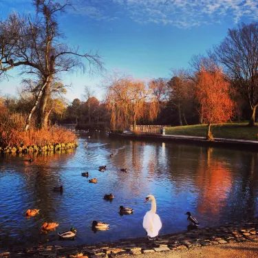 Stockton-on-Tees
