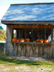 Hackleboro Orchard