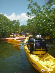Island Kayaking Adventure