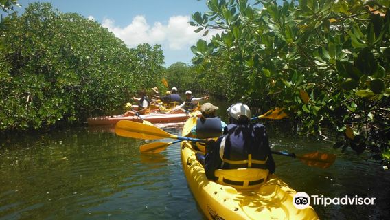 Island Kayaking Adventure