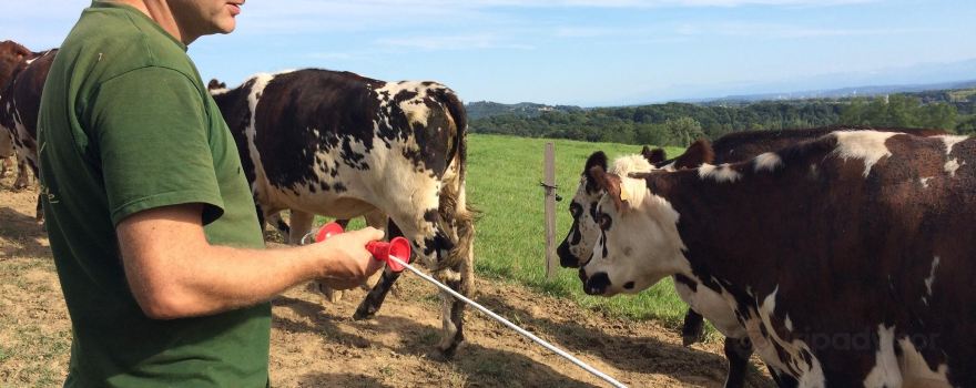 La Ferme Lait P'tits Bearnais