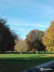 Beddington Park