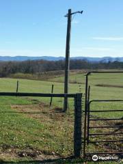 Virginia Mountain Vineyards