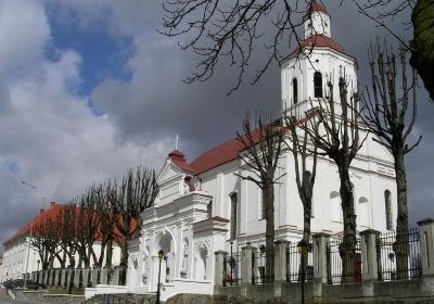 Telšiai Cathedral