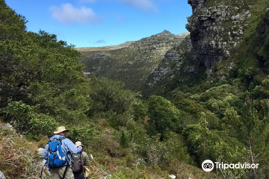 Hoerikwaggo Table Mountain Trail