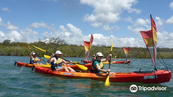 Kayak Noosa