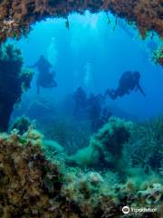 Bonifacio Plongée - Diving Center