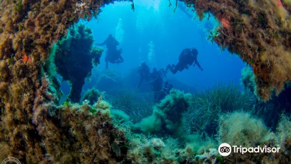 Bonifacio Plongée