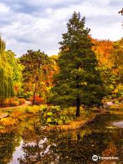 Botanischer Garten der Universität Breslau