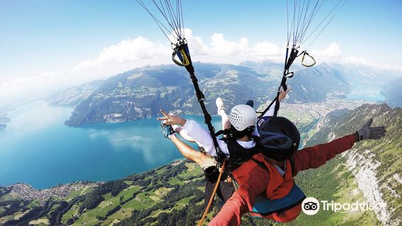 Skywings Paragliding Interlaken