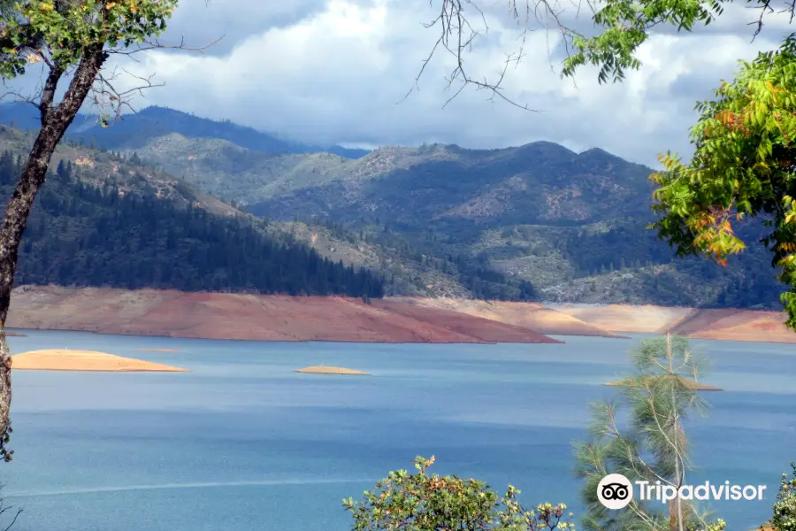 Shasta Lake