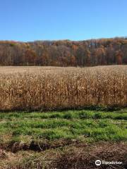 Conewago Recreation Trail